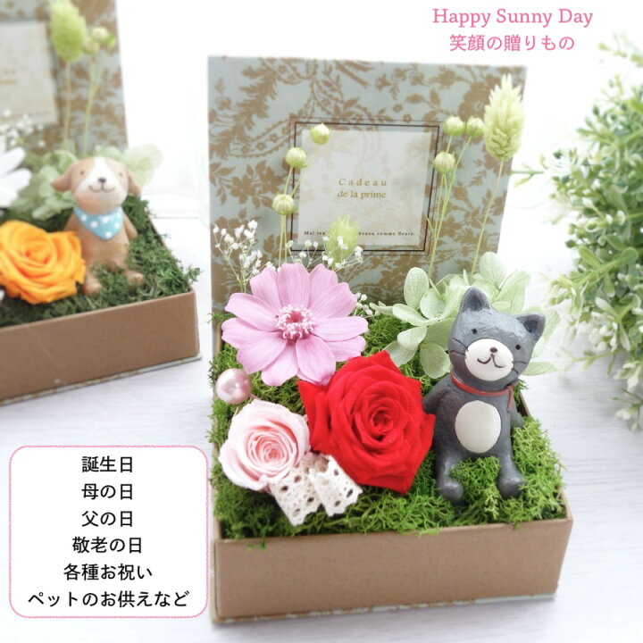 楽天市場 あす楽対応 プリザーブドフラワー 誕生日 プレゼント サマーギフト お中元 犬 ねこ くま敬老の日 お見舞い 花 お礼 お返し ペット 結婚 ジオラマ バラ 送料無料happy Happy Sunnyday フラワーギフト Strawberrygarden 楽天市場 あす楽対応 プリザーブドフラワー 誕生日 プレゼント サマーギフト お中元 犬 ねこ くま敬老の日 お見舞い 花 お礼 お返し ペット 結婚 ジオラマ バラ 送料無料happy Happy Sunnyday フラワーギフト Strawberrygarden