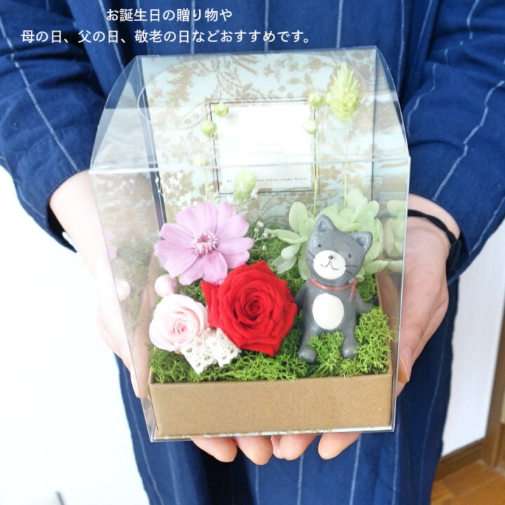 楽天市場 あす楽対応 プリザーブドフラワー 誕生日 お歳暮 クリスマス プレゼント 犬 ねこ くま お見舞い 出産祝い 花 お礼 お返し ペット お供え 結婚祝い 記念日 開店 開業 新築 引っ越し ジオラマ バラ 送料無料happy Happy Sunnyday フラワーギフト