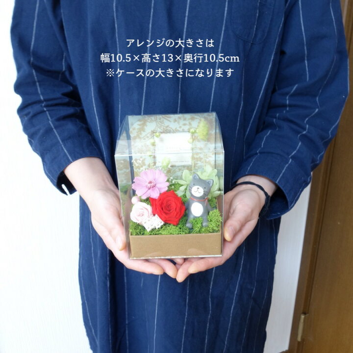 楽天市場 あす楽対応 プリザーブドフラワー 誕生日 お歳暮 クリスマス プレゼント 犬 ねこ くま お見舞い 出産祝い 花 お礼 お返し ペット お供え 結婚祝い 記念日 開店 開業 新築 引っ越し ジオラマ バラ 送料無料happy Happy Sunnyday フラワーギフト