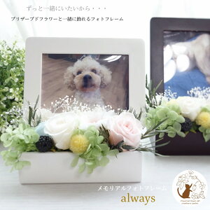 写真立て 花 その他のインテリア雑貨 通販 価格比較 価格 Com 写真立て 花 その他のインテリア雑貨 通販 価格比較 価格 Com