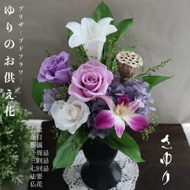楽天市場 プリザーブドフラワー 贈り相手兄弟 姉妹 花 観葉植物 花 ガーデン Diy の通販