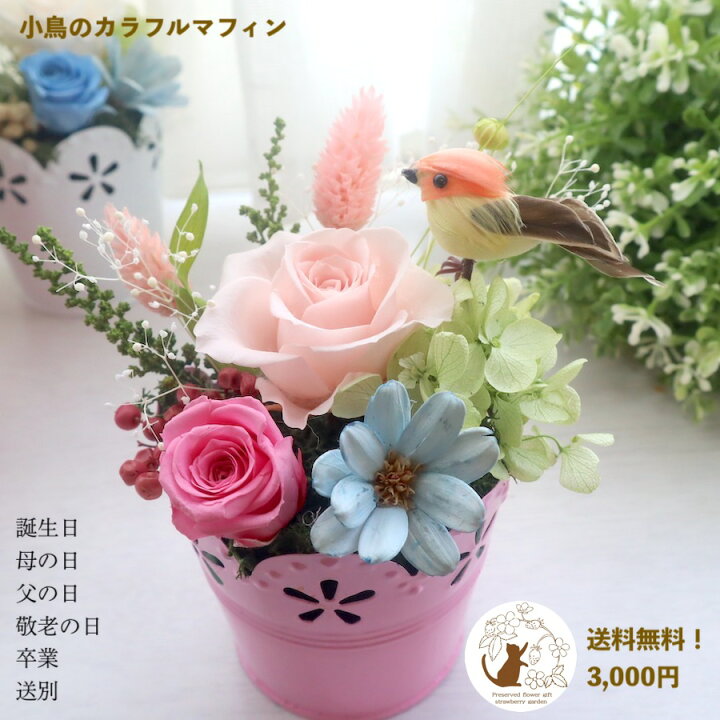 楽天市場 あす楽対応 プリザーブドフラワー ブリザードフラワー 誕生日 結婚祝い 結婚式 電報 サムシングブルー プレゼント 小鳥 お見舞い お返し ギフト 花 お礼 出産祝い 内祝い お祝送料無料 小鳥のカラフルマフィン フラワーギフト Strawberrygarden