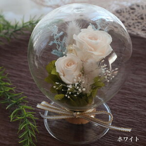 y@KXh[ ballon-ozvU[uht[ KXh[ a ̓  v[g KX uU[ht[ o[ D ސE uU[ht- Mtg oYj