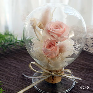 y@KXh[ ballon-ozvU[uht[ KXh[ a ̓  v[g KX uU[ht[ o[ D ސE uU[ht- Mtg oYj