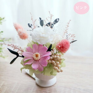 vU[uht[ a hV̓ v[g   ~  v[g Mtg hCt[ ybĝyNAP[X Floriaz