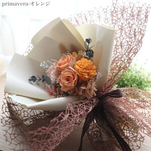 vU[uht[ ԑ EGfBO  \ u[P ԑ  a  ސE j  T JX J Cxgy vU[uht[̉ԑz