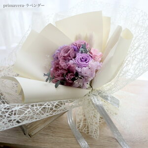 vU[uht[ ԑ EGfBO  \ u[P ԑ  a  ސE j  T JX J Cxgy vU[uht[̉ԑz