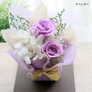 yފݍŏIZ[10OFF{Si|Cg10{I27܂Łza XC[c hV̓ Mtg  vU[uht[ ԑ v[g c ΂ ]t t@[W