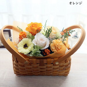 ubNtCf[ő1000~OFFP10{11/20`  vU[uht[  a j oXPbg EGJXy[X jd Vz JXJXj H nEBy