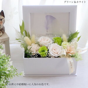   ʐ^vgIvU[uht[ ʐ^ tHgt[ ʐ^ ܎Oj ܎O  ybg  EGfBO a  ybg y