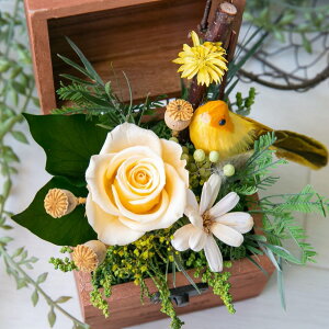 ubNtCf[ő1000~OFFP10{11/20`  vU[uht[ EGfBO  v[g Mtg a ybg o   j EGJXy