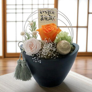  aَq XC[cZbg vU[uht[  v[g  蕨  j lC  җ Ê  P Ď   SyaaَqZbgz