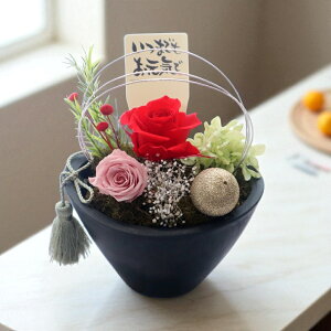 yX[p[Z[I|Cg10{{ő1000~OFFN[|zz12/11܂Łz aَq XC[cZbg vU[uht[  v[g  蕨  j lC  җ 