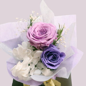 ubNtCf[ő1000~OFFP10{11/20` vU[uht[   NX}X a   ʉ EGfBO  jd ސE \ yb