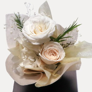  vU[uht[   NX}X a   ʉ EGfBO  jd ސE \ ybg ͂Ȃ JXj yNAP[X