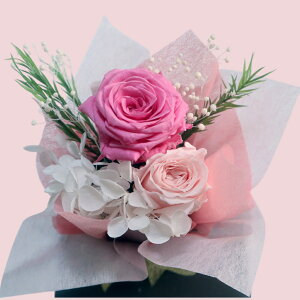   vU[uht[ XC[c Zbg kiraravX ]t t@[W a j  yY NX}XMtgykiraravXXC[cZbgz