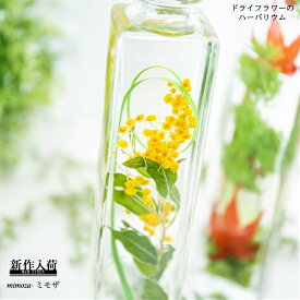 楽天市場 ハーバリウム 種類 植物 ヤマモミジ 山もみじ 花 観葉植物 花 ガーデン Diy の通販