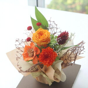 ySSłĂ܂z  vU[uht[ zCg Mtg Kirarau[Pv~A a    ԑ JXj   ybgԁyNAP[X