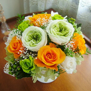 vU[uht[  Mtg y؂₩~tB[Iׂ2Fzaj j Vzj LO JXj ސEj