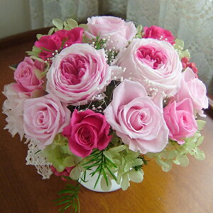 vU[uht[  Mtg y؂₩~tB[Iׂ2Fzaj j Vzj LO JXj ސEj