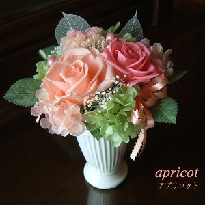 vU[uht[ ސEj ̓Mtg a j j j LO j v[g 䋟