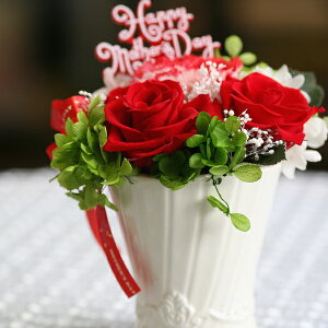 vU[uht[ ̓Mtg }U[YJ[l[VP[X j a j 