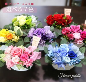 vU[uht[ j Mtg av[g j Vzj zj j ސEj Êj җj j yIׂ7F~jI[ozNAP[X