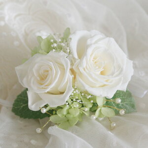 vU[uht[ RT[W 2 oj P[Xt  Ǝ  w   Zj[ tH[}