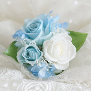 vU[uht[ RT[W 3 pE_[u[ P[Xt  Ǝ  w   Zj[ tH[}