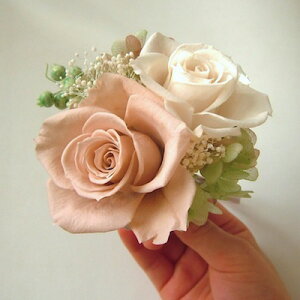 vU[uht[ RT[W 2 piRb^ P[Xt  Ǝ  w   Zj[ tH[}