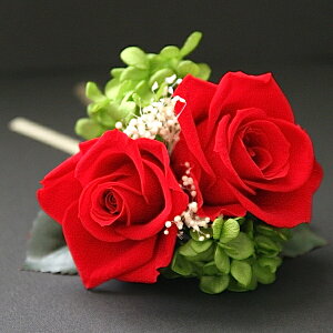 vU[uht[ RT[W 2 `F[bh P[Xt  Ǝ  w   Zj[ tH[}