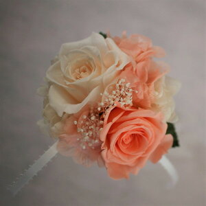 vU[uht[ RT[W 2 s[`\x P[Xt  Ǝ  w   Zj[ tH[}