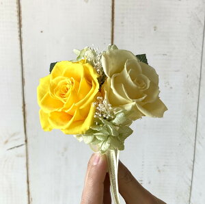 vU[uht[ RT[W 2 l[h P[Xt  Ǝ  w   Zj[ tH[}