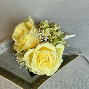 vU[uht[ RT[W 2 ~U P[Xt  Ǝ  w   Zj[ tH[}