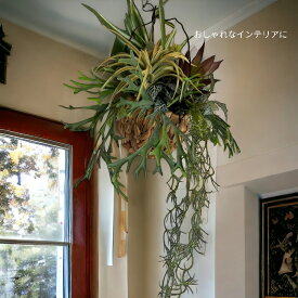 【フェイクグリーン】フェイクプランツ 枯れない観葉植物 コウモリラン ビカクシダ 壁掛け W30×D25×H45cm インテリア ディスプレイ 多肉植物 ハンギング エアプランツ ドラセナ 売切れ 6/16入荷予定 只今売り切れ中 7/7入荷予定