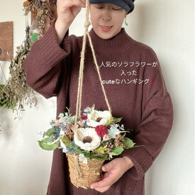 フェイクフラワー フェイクグリーン プリザーブドフラワー アーティフィシャルフラワー 造花 W28×D25×H25cm ソーラーフラワー 枯れない花 壁掛け ハンギング クリスマス 冬 プレゼント インテリア 無料ラッピング フラワーパレット