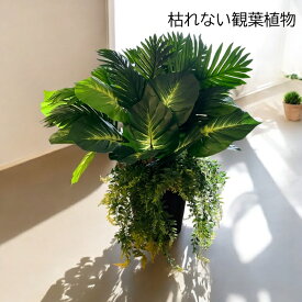 枯れない観葉植物 フェイクグリーン インテリアグリーン ヤシ パームツリー ディフェンバキア 籐のカゴ バスケット 全体サイズW60×D50×H70cm リビング テーブル お祝い 無料ラッピング フラワーパレット
