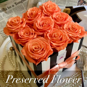 yt[{bNX  vU[uht[ v|[Y av[g  zj[[NX^COWA[{bNX {bNXt[ o t[Mtg LO 