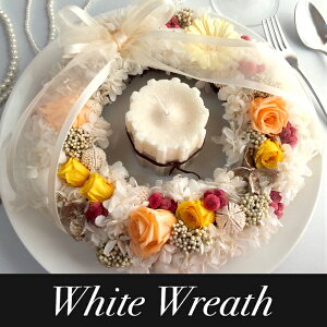 yt[[X  vU[uht[ EGJXy[X fBXvC EGfBO zvU[uht[ [X  zCg[X j JXj JtF T 