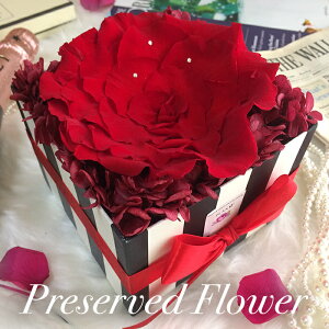 yt[{bNX av[g  vU[uht[ v|[Y  z OWA[Mtg {bNXt[ o LO IV CeAyvI[z J