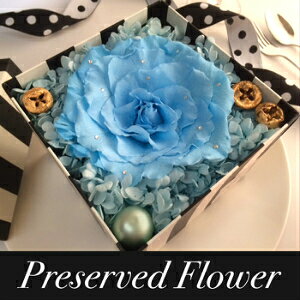 yt[{bNX vU[uht[  av[g zj[[NX^C {bNXt[  v|[Y j LO o IVyPLAN O vI[zu