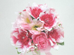 yEFfBOu[P@sN234z//EFfBO/u[P/u[gjA/񎟉/gXu[P/uC_