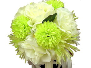 yEFfBOu[P@zCg165z//EFfBO/u[P/u[gjA/񎟉/gXu[P/uC_