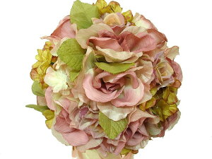 yEFfBOu[P@sN181z//EFfBO/u[P/u[gjA/񎟉/gXu[P/uC_