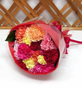 yIzu肪Ƃvӂ̋C`悤@J[l[Vԑ@ԃbsO//t[Mtg/j/a/ސEj/}/}/LO/AWg/җ/j/