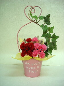 yuL|bgv[hz//t[Mtg/j/a/ސEj/}/}/LO/AWg/җ/j/