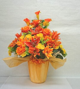 ԁIԁIԁI{[_IfUCi[܂AWgH60yIWzyyMt_zyyMt_bŹzz//t[Mtg/j/a/ސEj/}/}/L