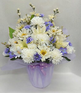 ԁIԁIԁIfUCi[܂AWgH50yzyyMt_zyyMt_bŹz//t[Mtg//{///@/~/l\/No.5