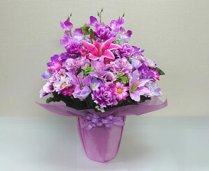 ԁIԁIԁI{[_IfUCi[܂AWgH60yCgp[vzyyMt_zyyMt_bŹz//t[Mtg/j/a/ސEj/}/