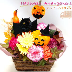 yzyʌz nbs[nEB j AWg  t[ Mtg v[g bZ[WJ[h G   p Ԃ̂炵 J[l[V K[x